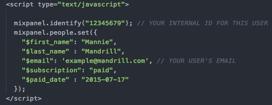 Mixpanel JavaScript Snippet