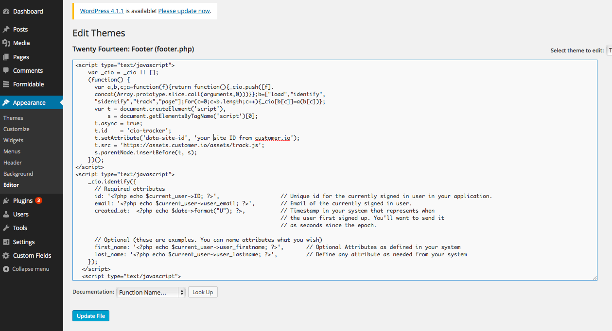 WordPress Theme Editor